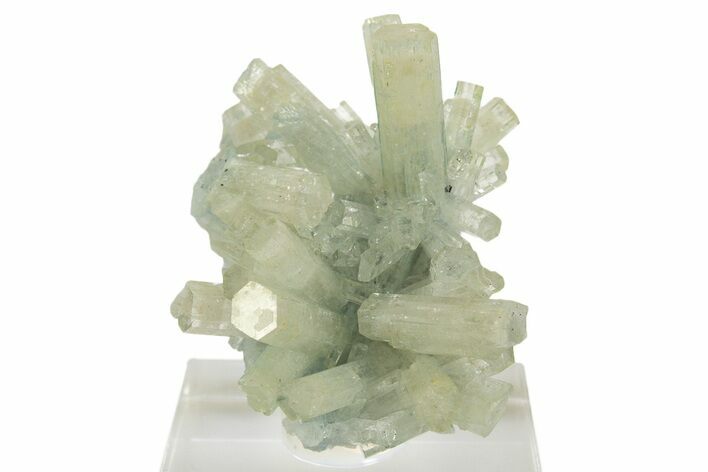 Pristine Goshenite Crystal Cluster - Erongo Mountains, Namibia #335190